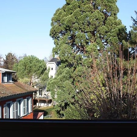Superb Apt- Garden- 3 Parkings, Near Petite Venise ! كولمار المظهر الخارجي الصورة