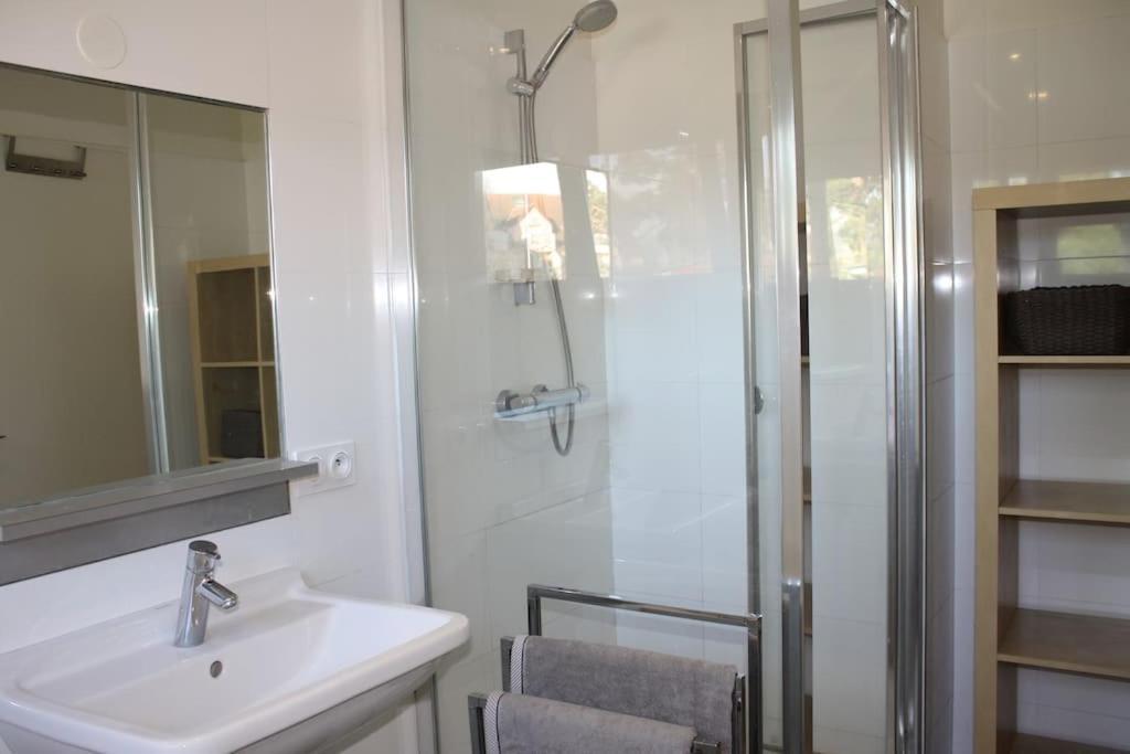 Superb Apt- Garden- 3 Parkings, Near Petite Venise ! كولمار المظهر الخارجي الصورة