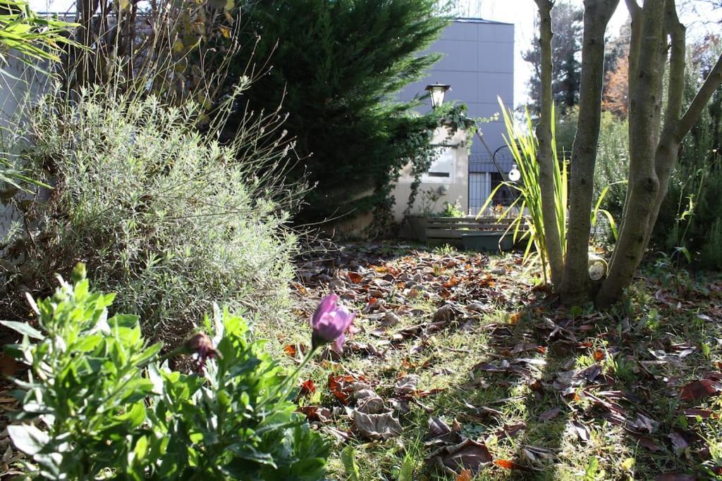 Superb Apt- Garden- 3 Parkings, Near Petite Venise ! كولمار المظهر الخارجي الصورة