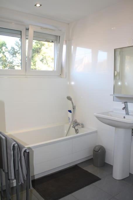 Superb Apt- Garden- 3 Parkings, Near Petite Venise ! كولمار المظهر الخارجي الصورة