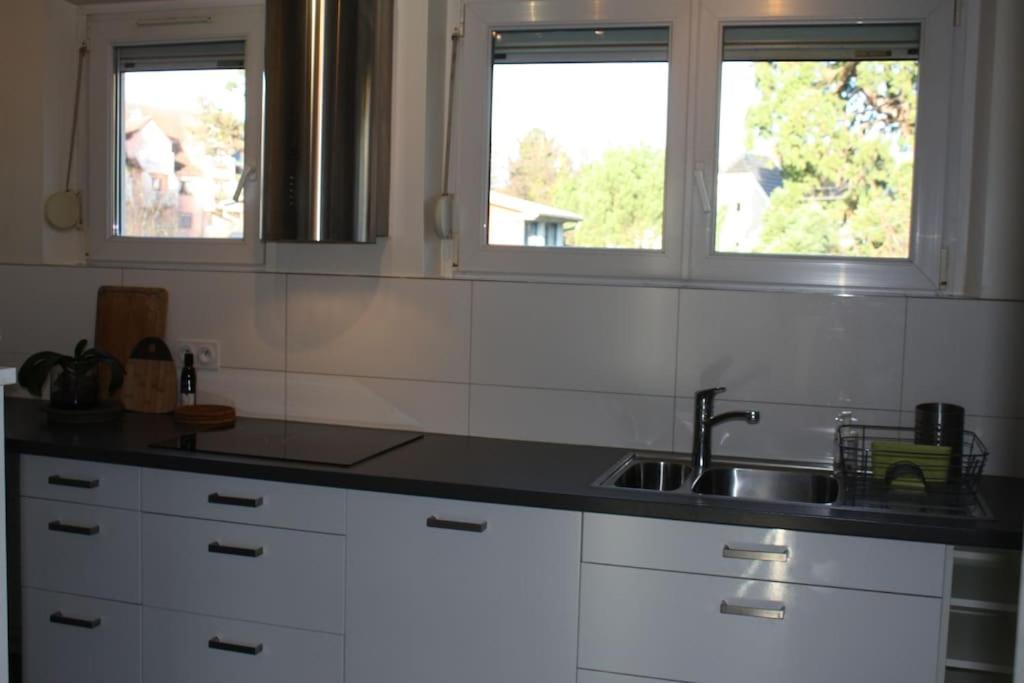 Superb Apt- Garden- 3 Parkings, Near Petite Venise ! كولمار المظهر الخارجي الصورة
