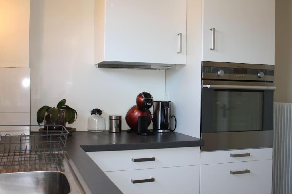 Superb Apt- Garden- 3 Parkings, Near Petite Venise ! كولمار المظهر الخارجي الصورة