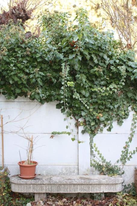 Superb Apt- Garden- 3 Parkings, Near Petite Venise ! كولمار المظهر الخارجي الصورة